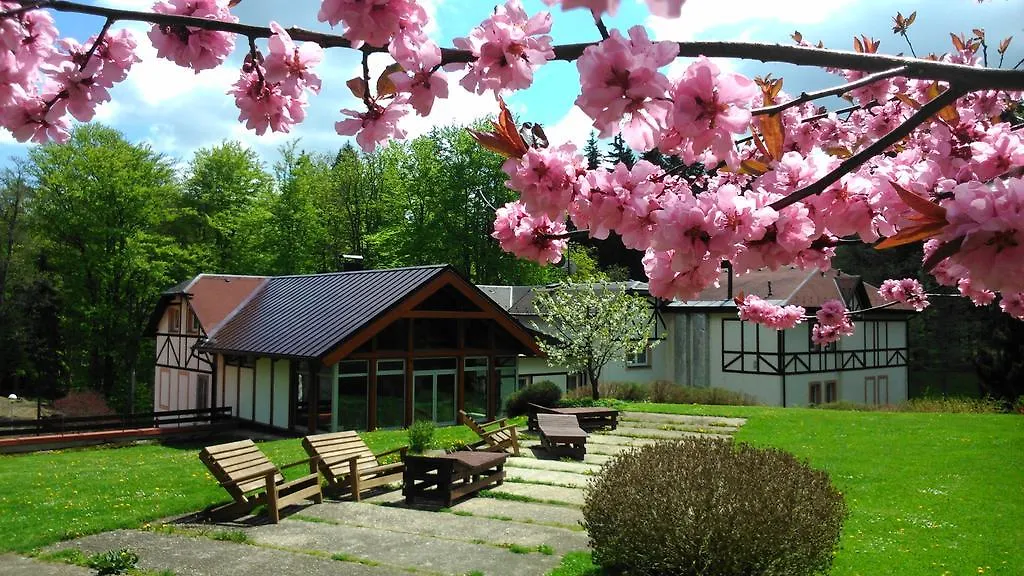 Spa & Wellness Hotel Harmonie Marianske Lazne 3*,  Czech Republic